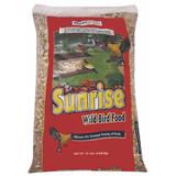 seed